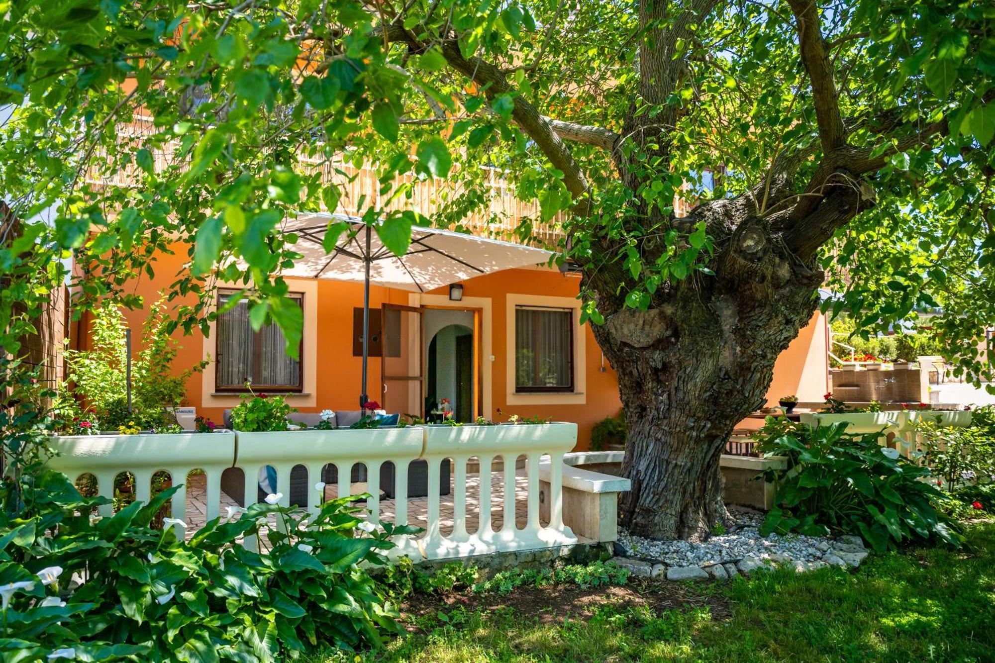 E-M Apartments With Private Pool Vinkuran Εξωτερικό φωτογραφία